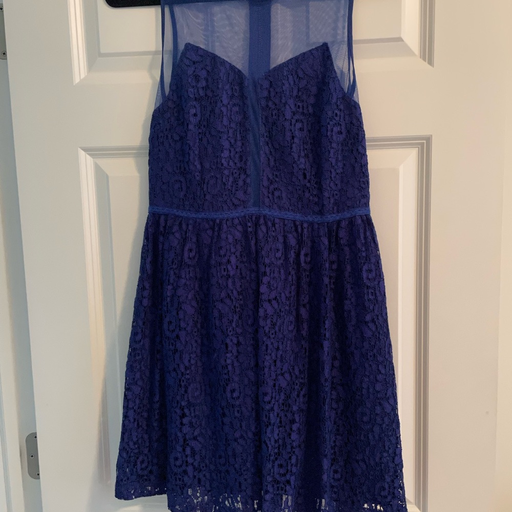 Aniina royal blue lace party dress!
